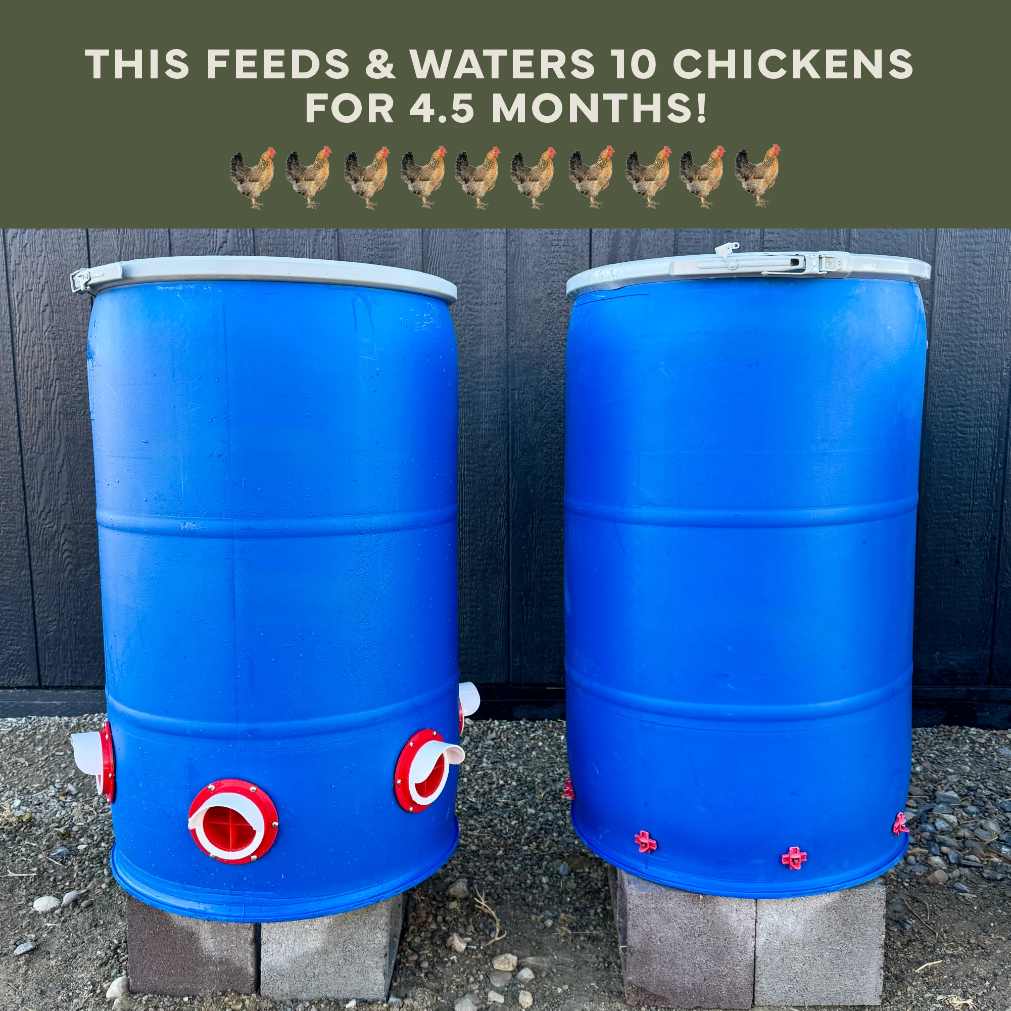 New Easy Chicken Feeder and Automatic Chicken Waterer Kits – Chicken Chores Just Got 20X Easier - Image 8