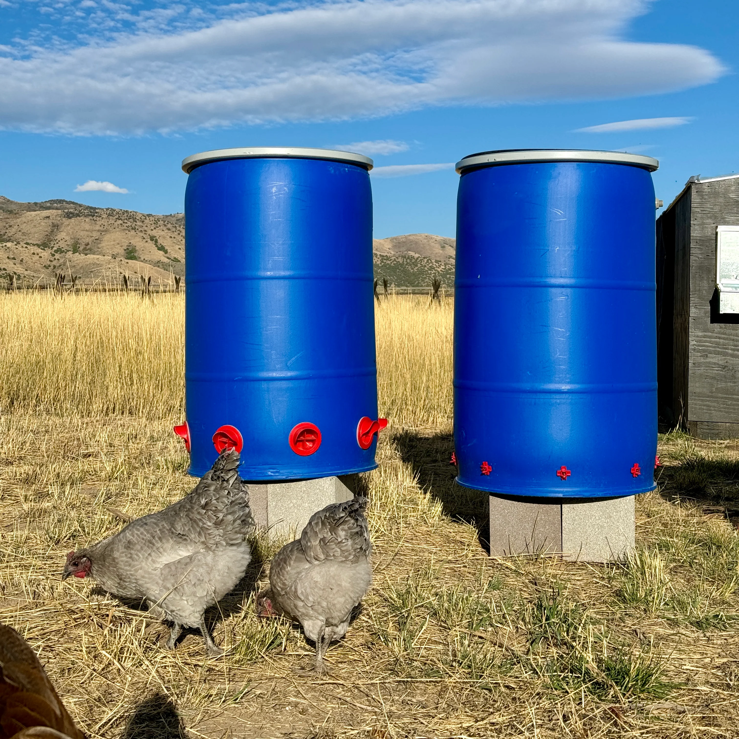 Easy Chickens DIY Chicken Feeder 55 Gallon Cone Kit Add-On - Image 3